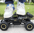 Carrinho de Controle Remoto Tração 4x4 - Metal Crawler Eletroflix 